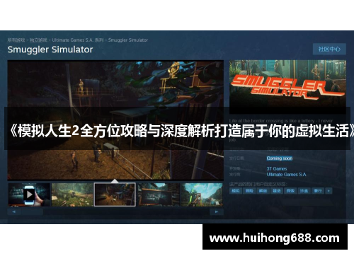 《模拟人生2全方位攻略与深度解析打造属于你的虚拟生活》